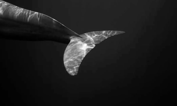 Emotional indifference: the invisible wounds that hurt the most