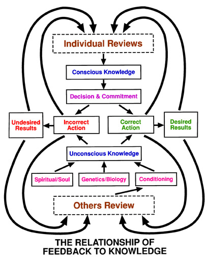 Psychological knowledge science: why feedback quietly affects our behavior?