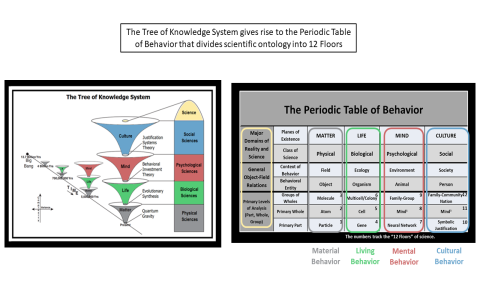 Learn Place Theory Psychology Fast – Key Definition & Real World Examples
