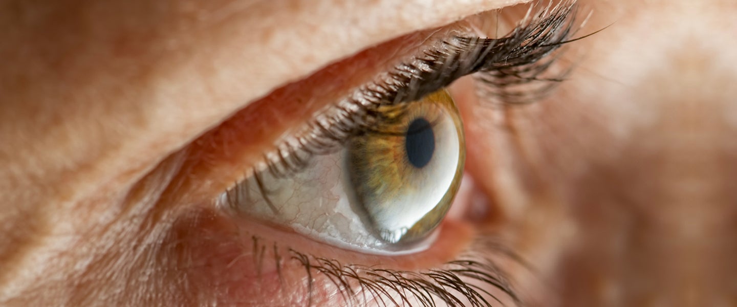 Why men grow longer eyelashes than women? Get the truth explained quickly and clearly.