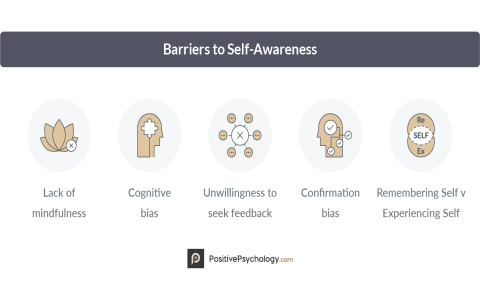 Why Self Efficacy Matters in AP Psychology Clear Definition Tips