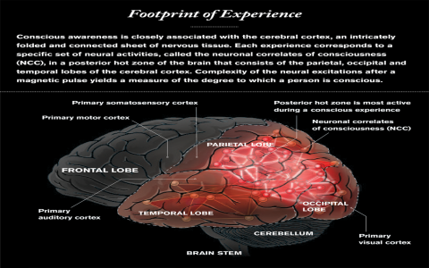 what is states of consciousness in high school psychology text easy guide to understand