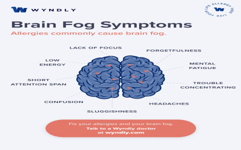 Why Do People Get Brain on Fire Disease? Main Causes!