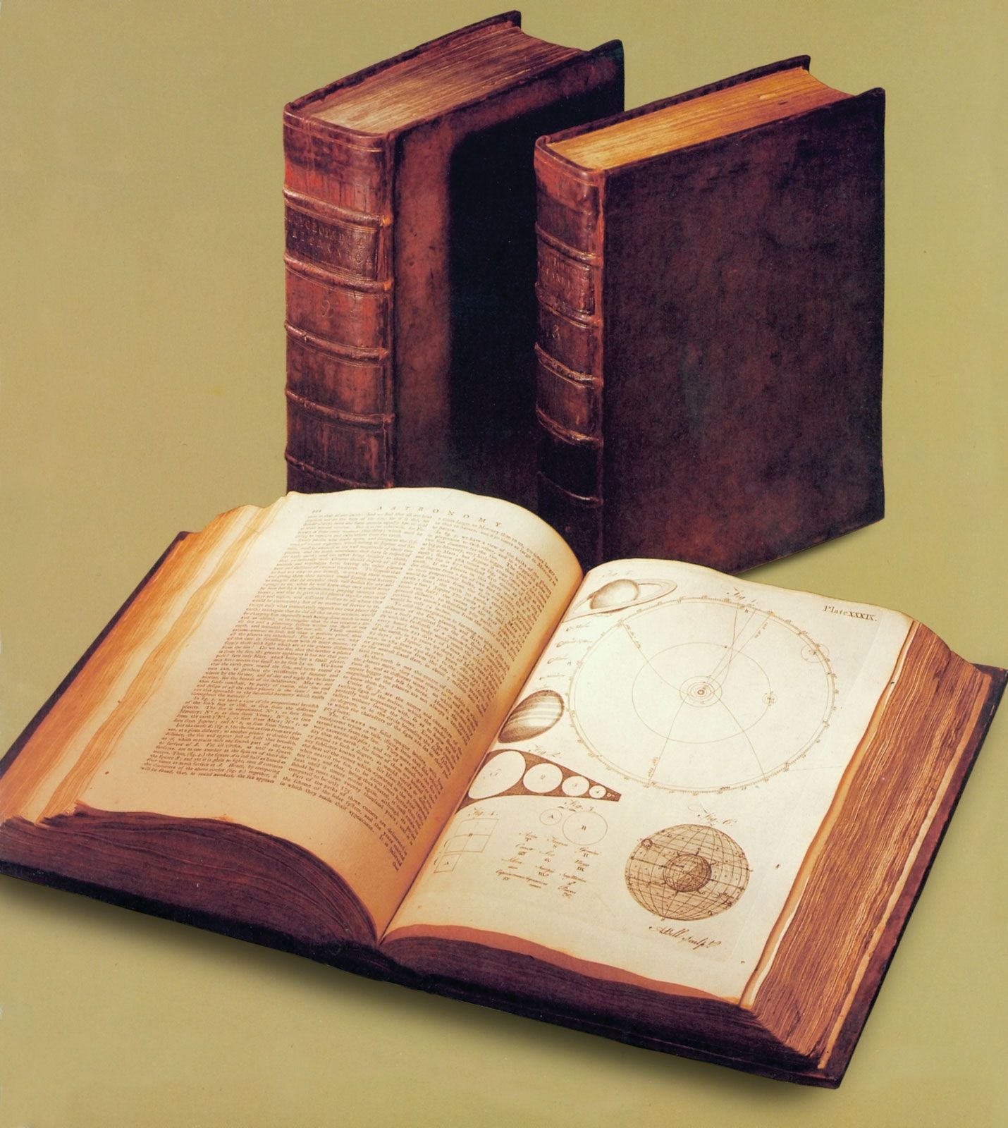 What Makes a Truly Useful Encyclopedia?