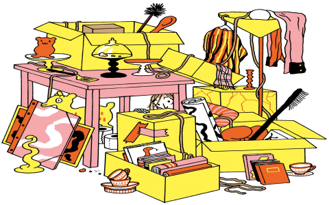 Junk case examples explained (real stories learn from)