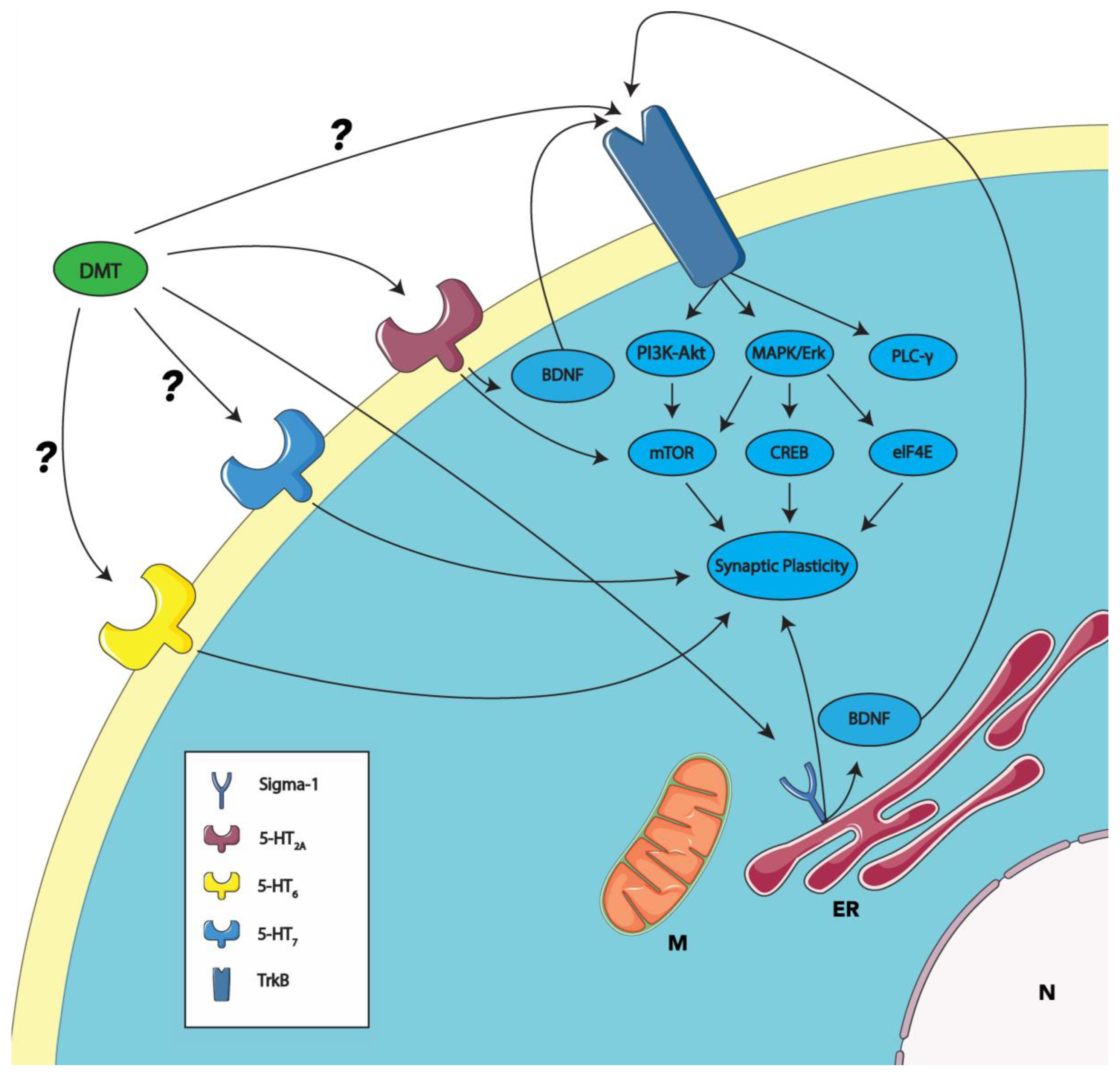Can you control dmt visuals? Learn expert methods to manage!