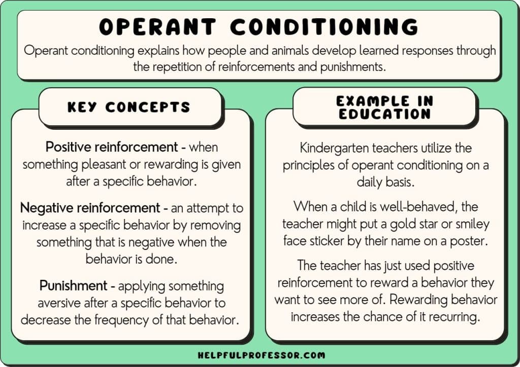 Best operant conditioning examples? Discover 7 effective training techniques.