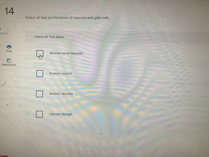 Select All That Are Functions of Neurons and Glial Cells: Brain Cell Work List